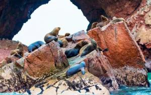 Islas Ballestas